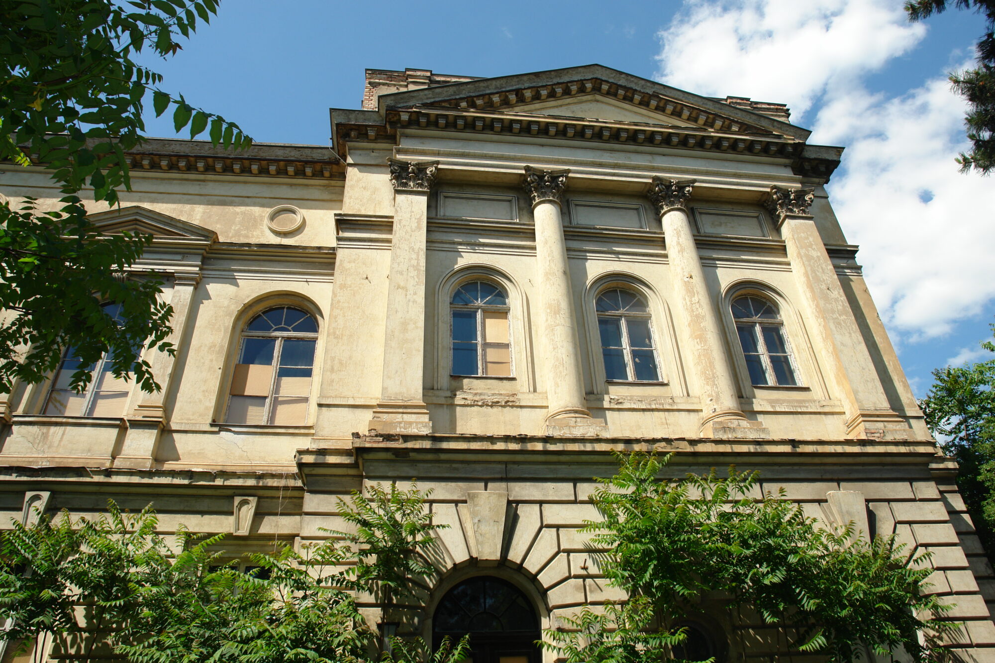 Halle (42)